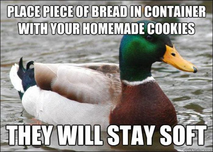 Actual Advice Mallard Meme (22 pics)