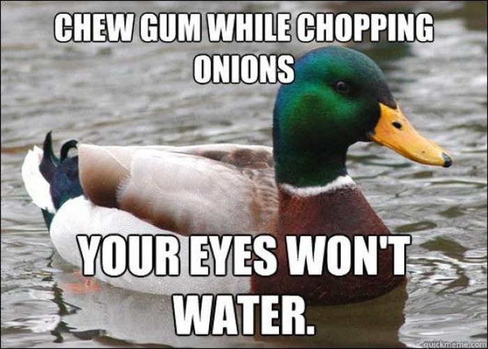 Actual Advice Mallard Meme (22 pics)