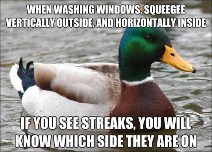 Actual Advice Mallard Meme (22 pics)