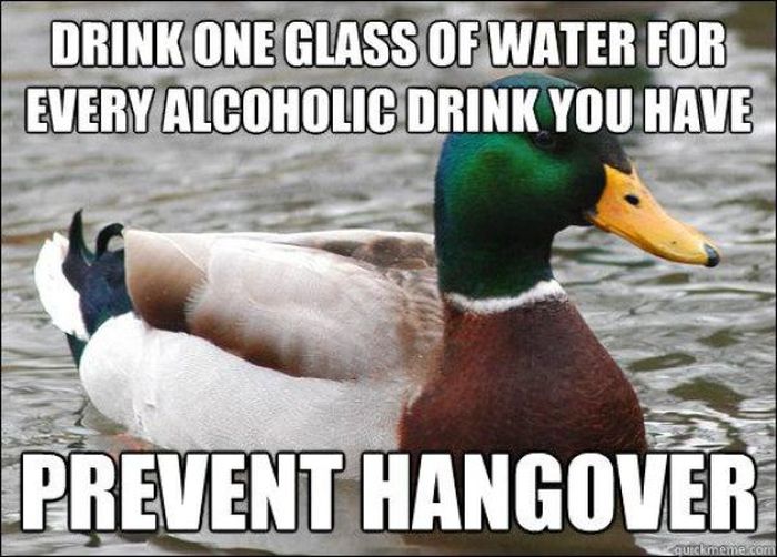 Actual Advice Mallard Meme (22 pics)