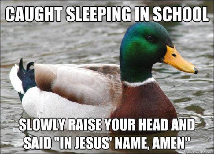 Actual Advice Mallard Meme (22 pics)