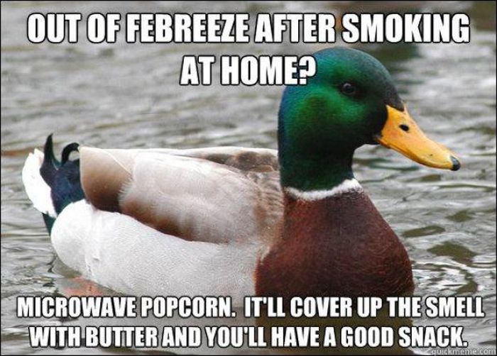 Actual Advice Mallard Meme (22 pics)