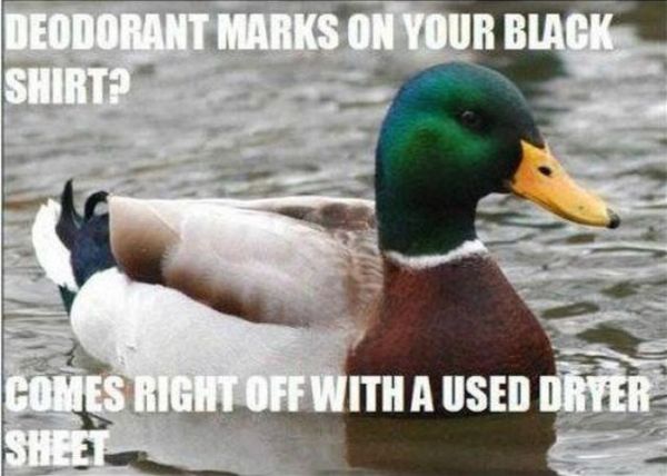 Actual Advice Mallard Meme (22 pics)