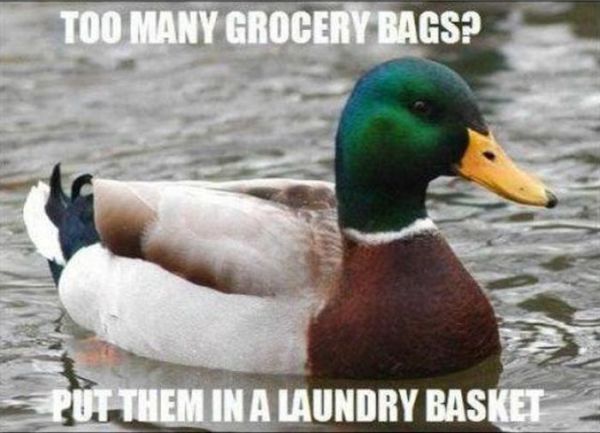 Actual Advice Mallard Meme (22 pics)