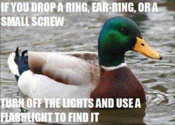 Actual Advice Mallard Meme (22 pics)