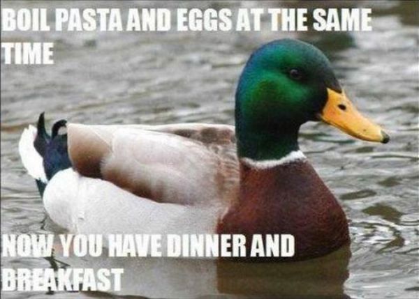 Actual Advice Mallard Meme (22 pics)