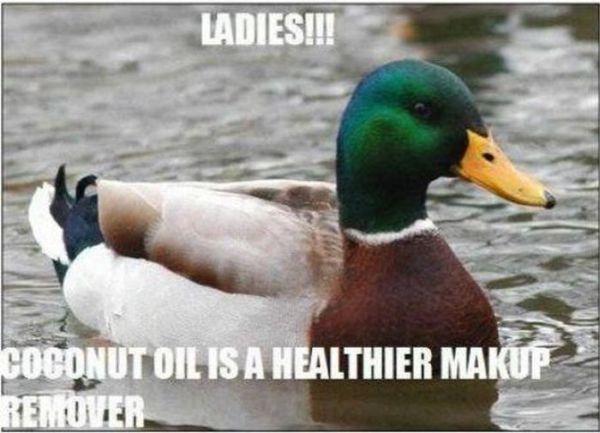 Actual Advice Mallard Meme (22 pics)