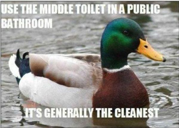 Actual Advice Mallard Meme (22 pics)