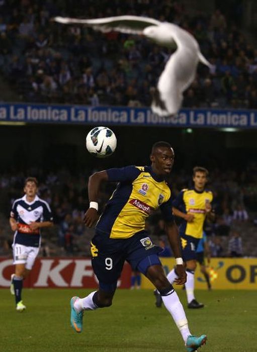 The Best Sport Photos of 2012 (75 pics)