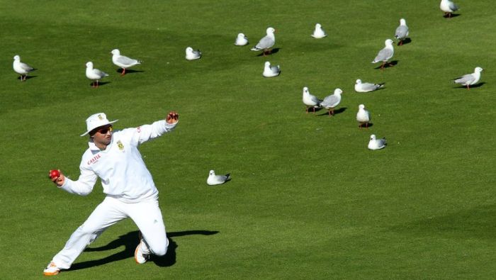 The Best Sport Photos of 2012 (75 pics)