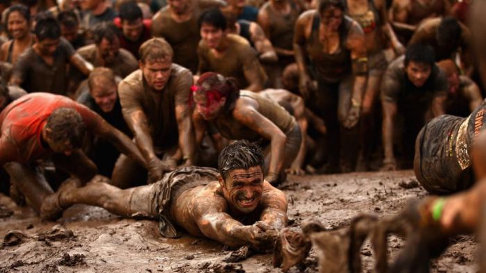 The Best Sport Photos of 2012 (75 pics)