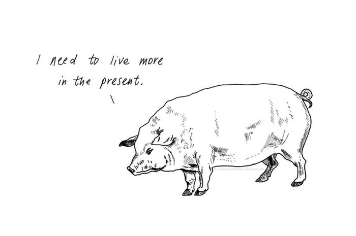 Animals with an Emotional Baggage (20 pics)