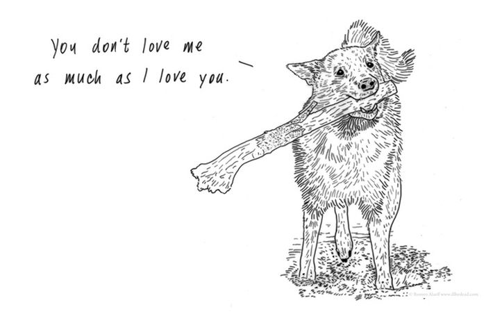 Animals with an Emotional Baggage (20 pics)