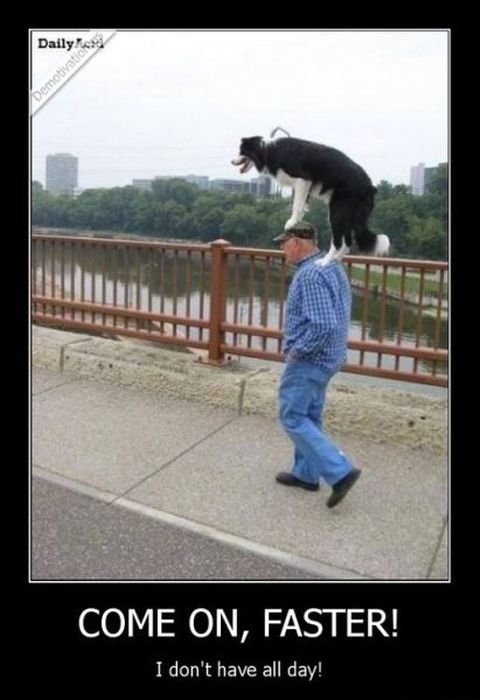 Funny Demotivational Posters (32 pics)