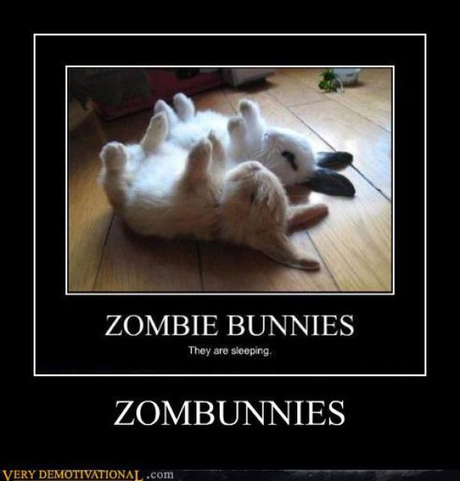 Funny Demotivational Posters (32 pics)