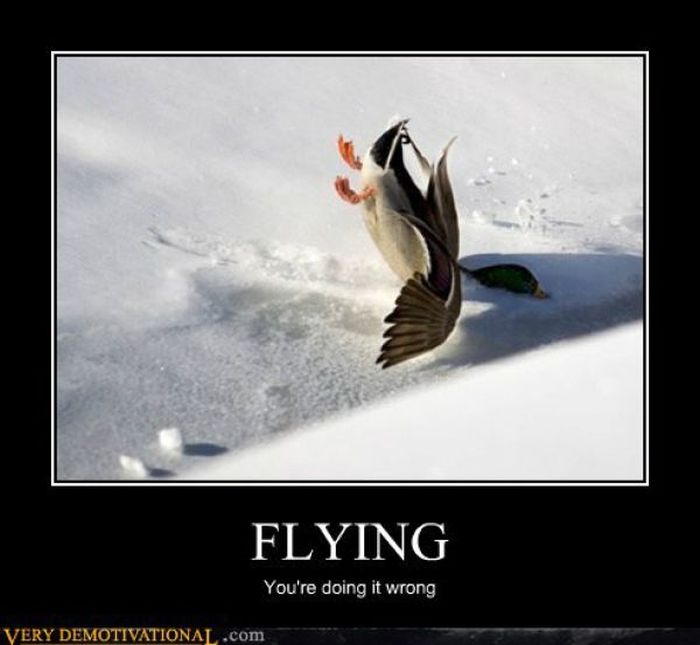 Funny Demotivational Posters (32 pics)