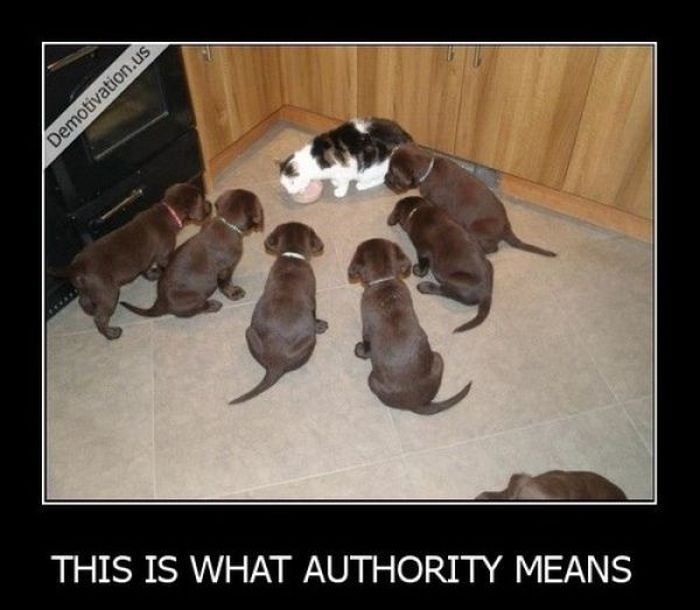 Funny Demotivational Posters (32 pics)