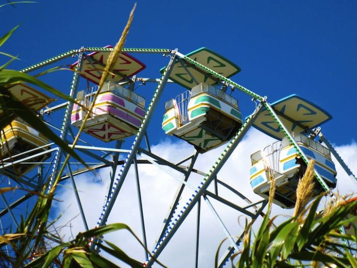 Abandoned Six Flags in New Orleans. Part 2 (73 pics)