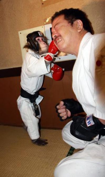 Combat Monkey Training (10 pics)