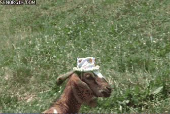 Acid Gifdump (22 gifs)