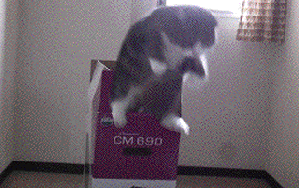 Acid Gifdump (22 gifs)