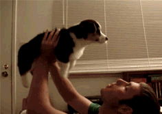 Acid Gifdump (22 gifs)