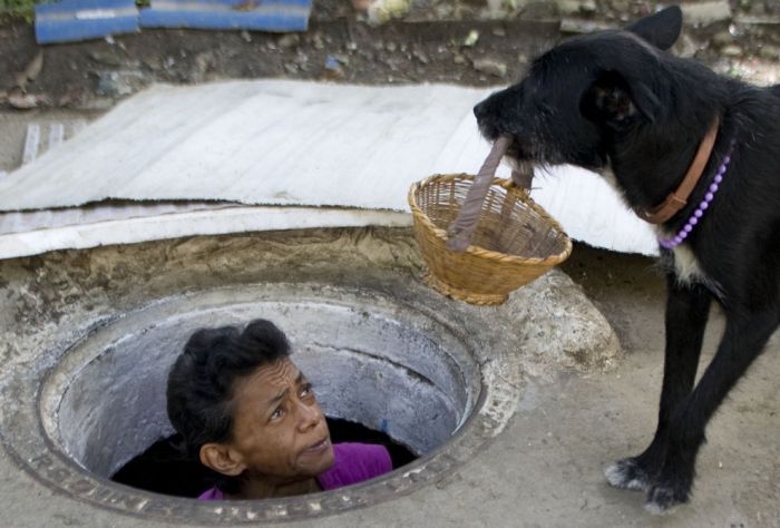 Home in a Sewer (12 pics)
