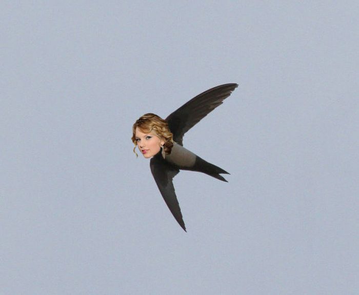 Celebirding (53 pics) Celebirding (53 pics)