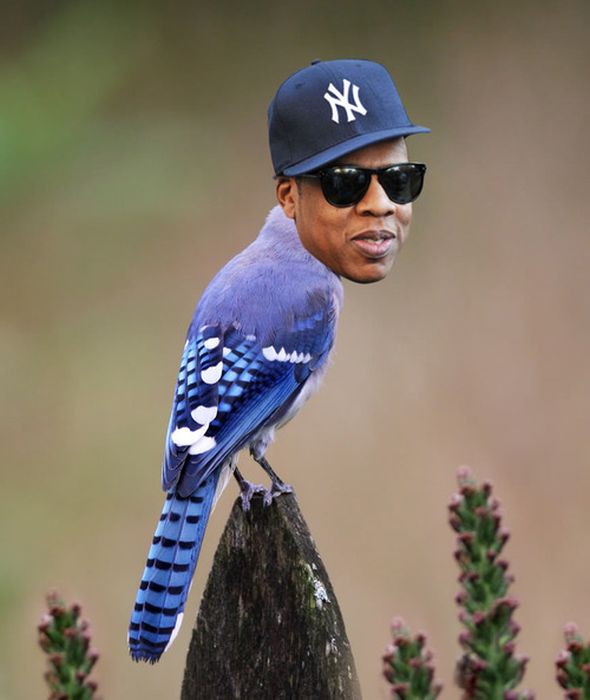 Celebirding (53 pics) Celebirding (53 pics)