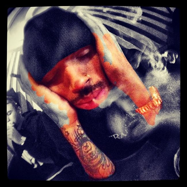 Chris Brown Smoking Weed (14 pics)