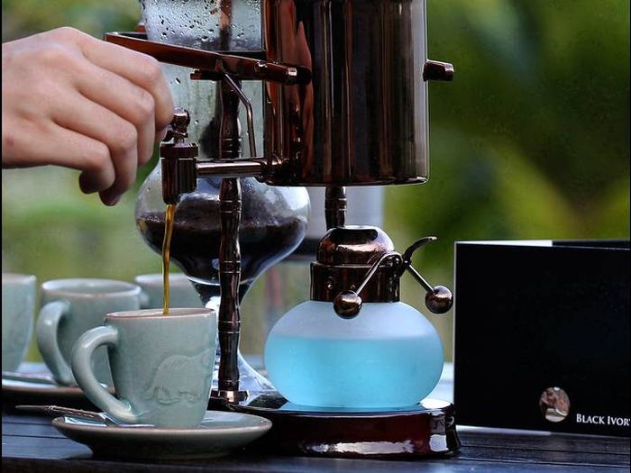 Coffee from an Elephant's Gut (9 pics)