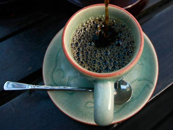 Coffee from an Elephant's Gut (9 pics)
