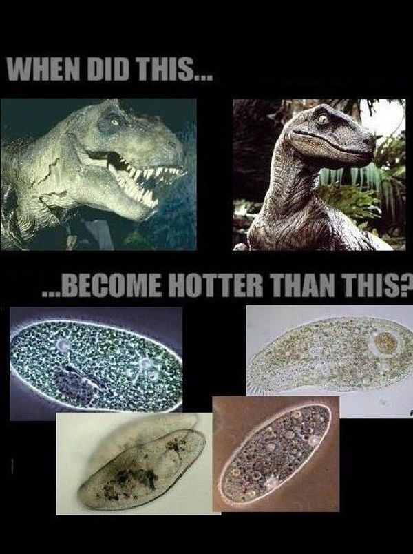 When Did This... (5 pics)
