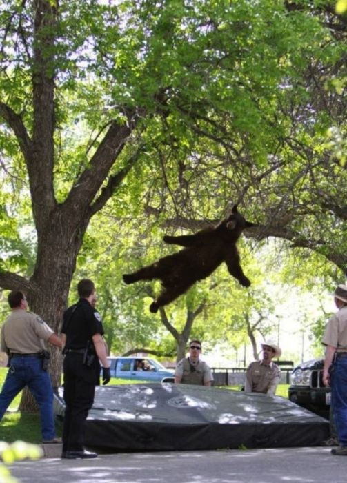 The Most Perfectly Timed Photos Of 2012 (27 pics)