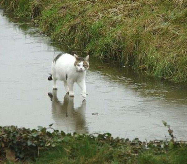 These Pictures Defy the Laws of Physics (34 pics)