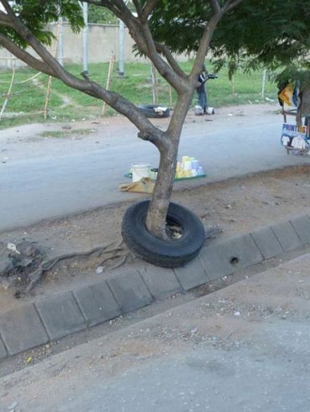 These Pictures Defy the Laws of Physics (34 pics)