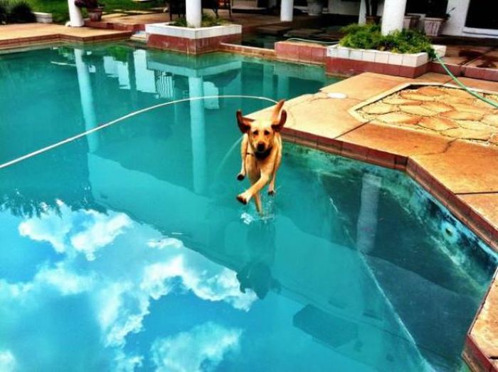 These Pictures Defy the Laws of Physics (34 pics)