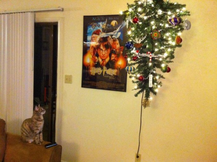 Anti-Cat Christmas Tree (9 pics)