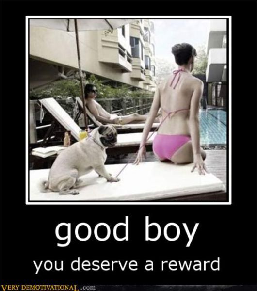 Funny Demotivational Posters (32 pics)