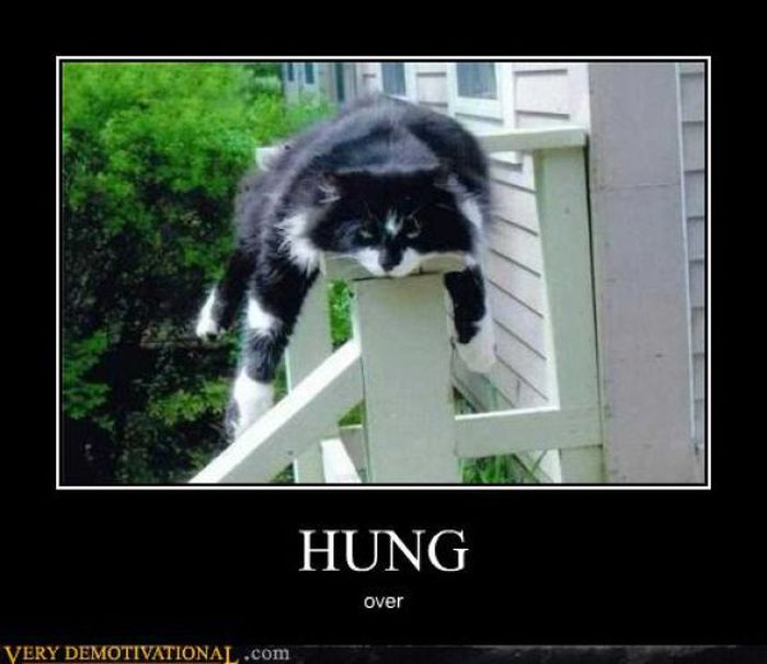 Funny Demotivational Posters (32 pics)