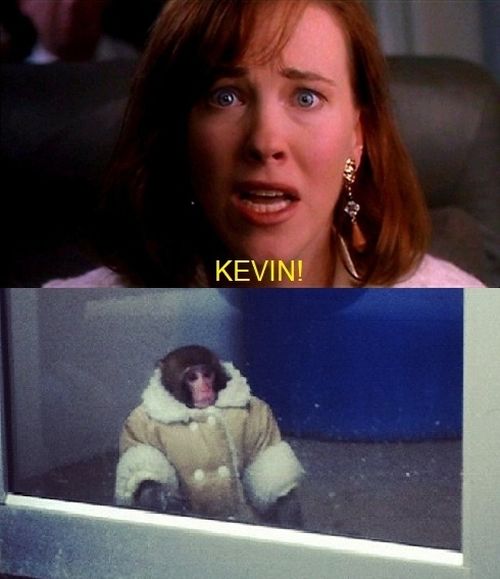 Ikea Monkey Meme Continues (35 pics)