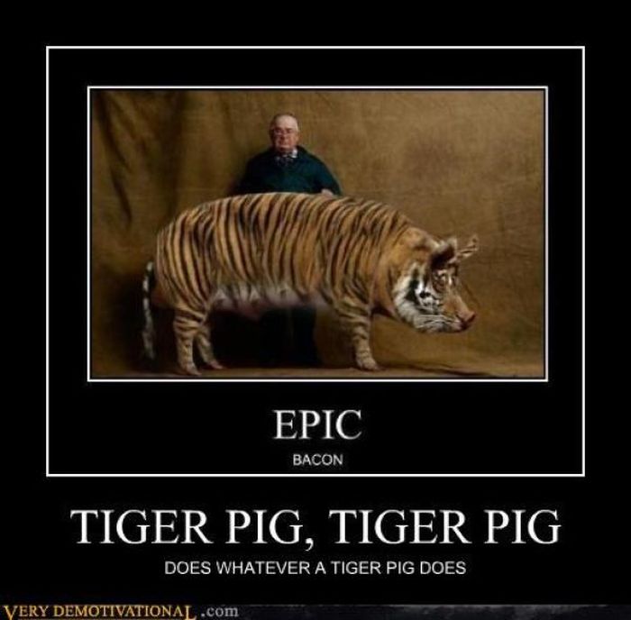 Funny Demotivational Posters (32 pics)