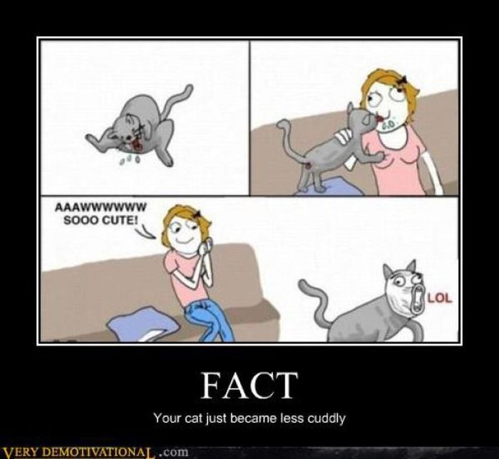 Funny Demotivational Posters (32 pics)
