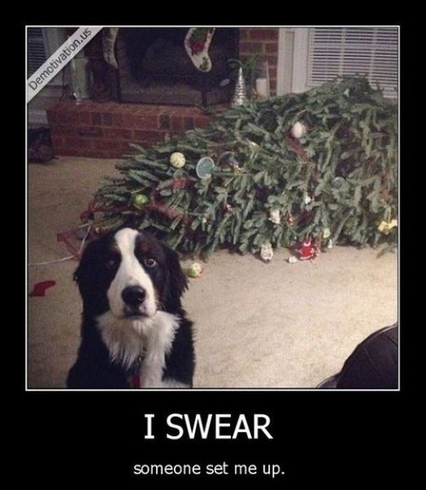 Funny Demotivational Posters (32 pics)