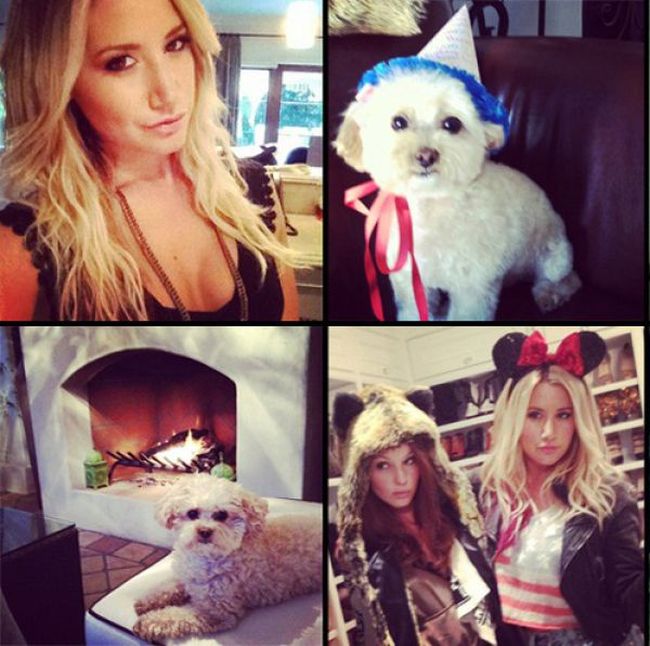 The Best And Worst Celebrity Instagrams of 2012 (52 pics)