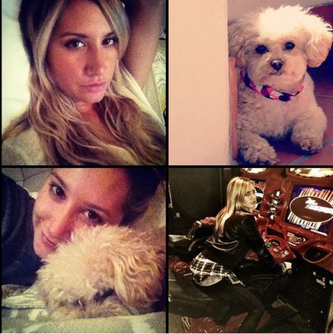 The Best And Worst Celebrity Instagrams of 2012 (52 pics) The Best And Worst Celebrity Instagrams of 2012 (52 pics)