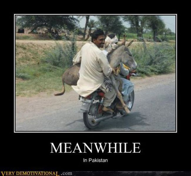 Funny Demotivational Posters (32 pics)