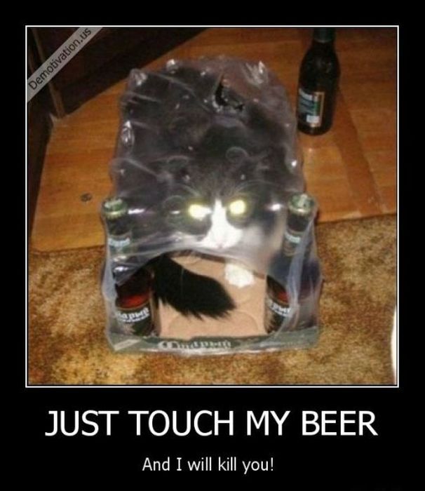 Funny Demotivational Posters (32 pics)