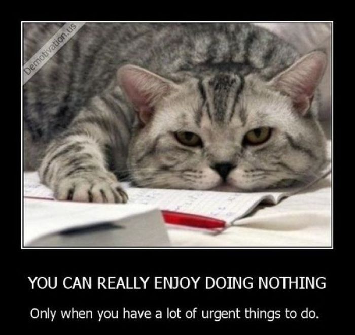 Funny Demotivational Posters (32 pics)
