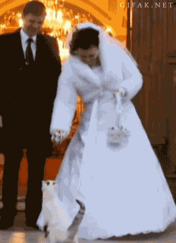 Acid Gifdump (25 gifs)